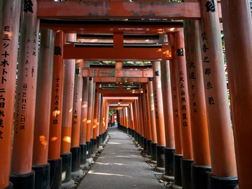 Fushimi Inari Shrine vermillion torii gates in Kyoto Japan at morning light, representing rich Japanese cultural heritage for dating